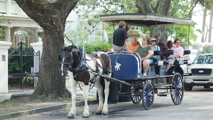 A Horse Drawn Tour