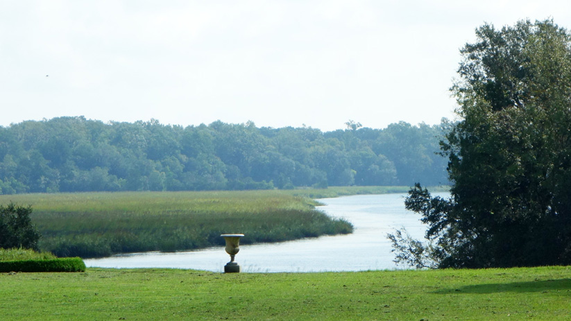 close-up of lake