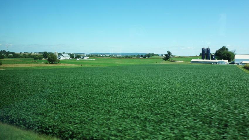 beautiful farmland