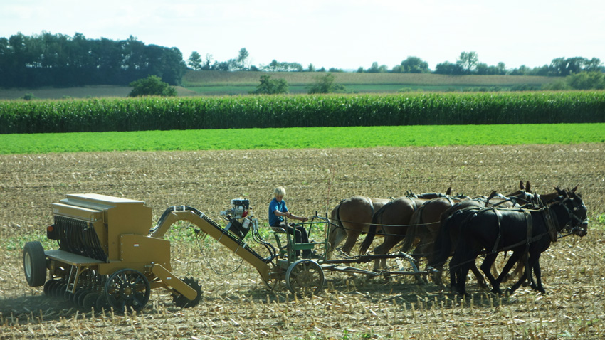 disking cornfield